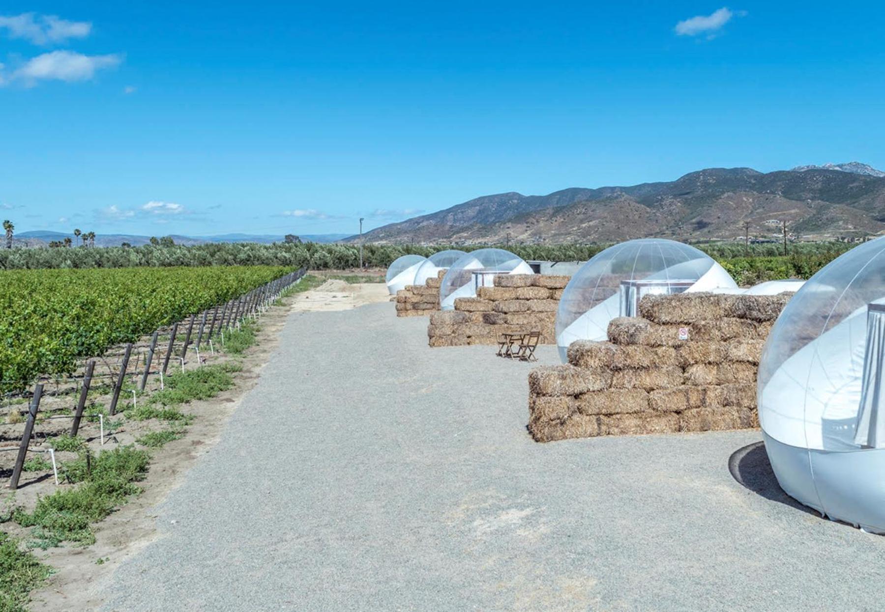 Campera Valle De Guadalupe Ensenada Exteriér fotografie