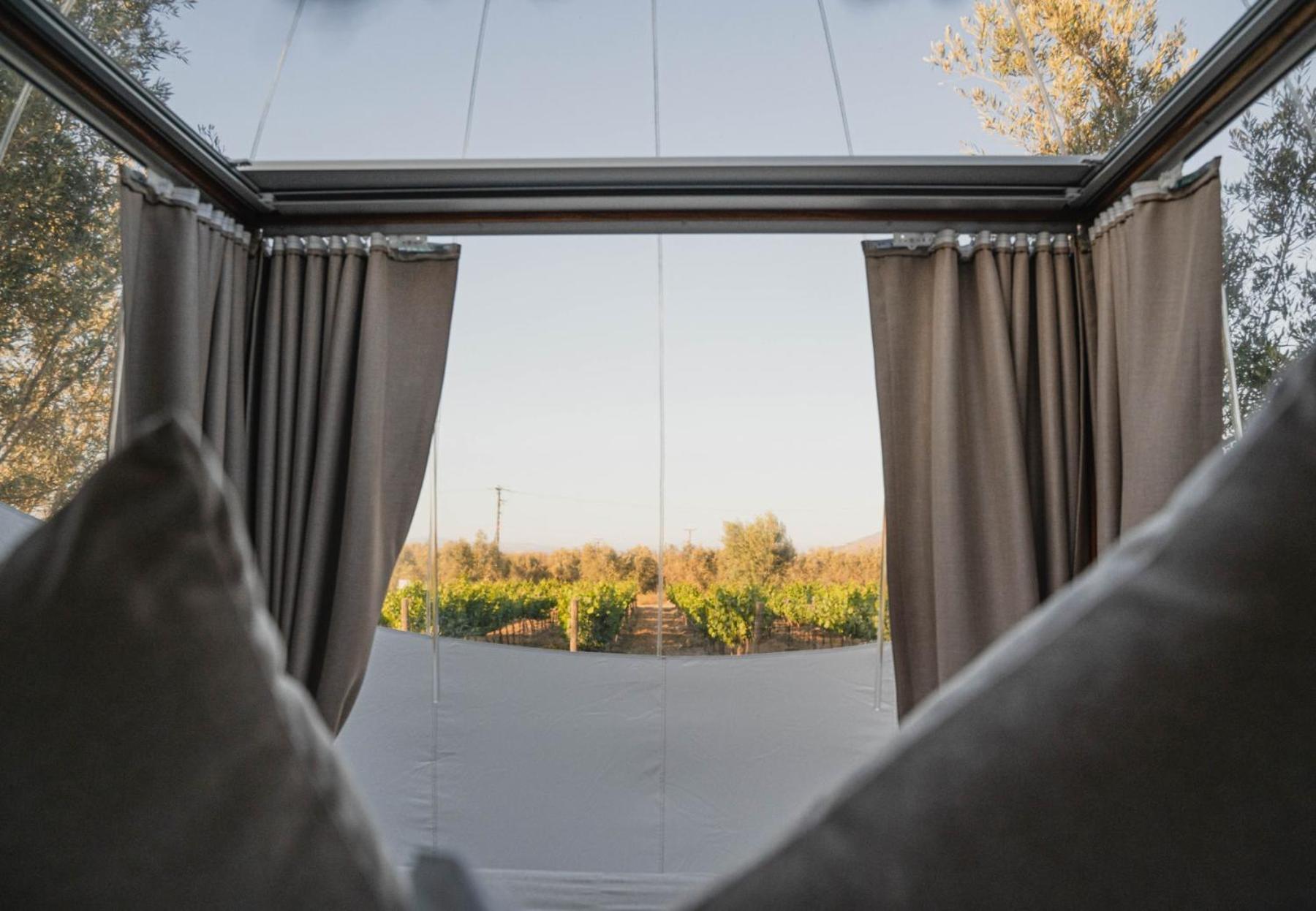 Campera Valle De Guadalupe Ensenada Exteriér fotografie
